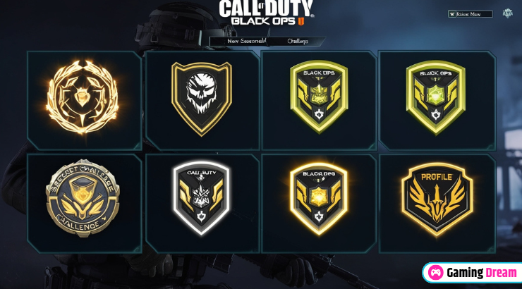 Hidden and Rare Emblems & Badges